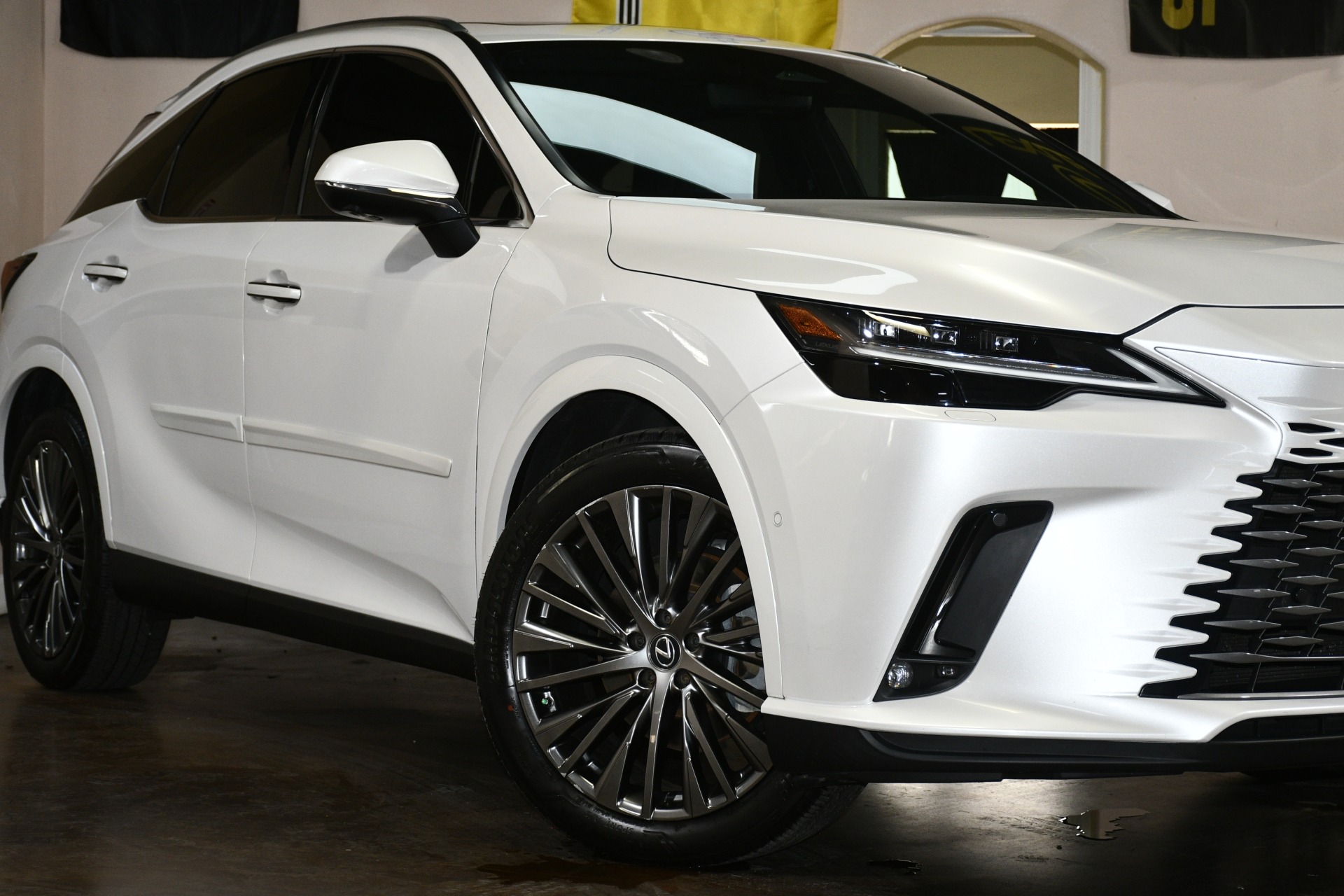 2023 Lexus RX 350 - Photo 53