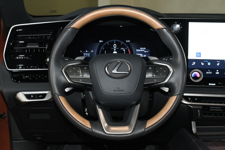 2025 Lexus RX 350 - Photo 123