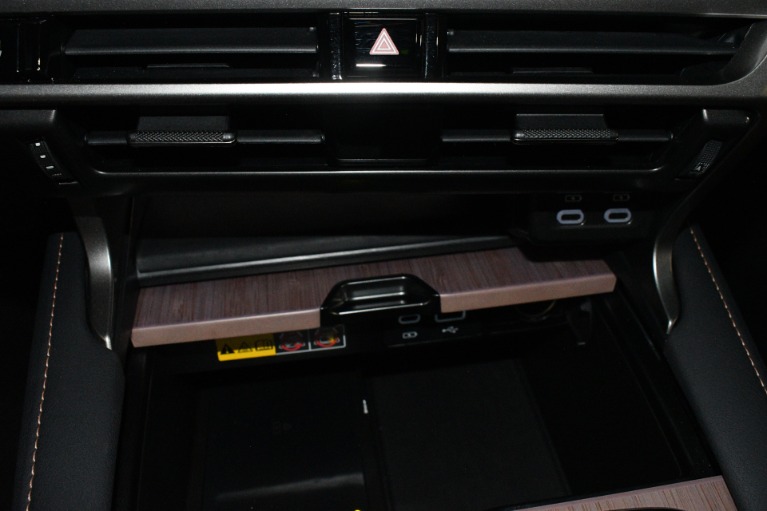 2025 Lexus RX 350 - Photo 134