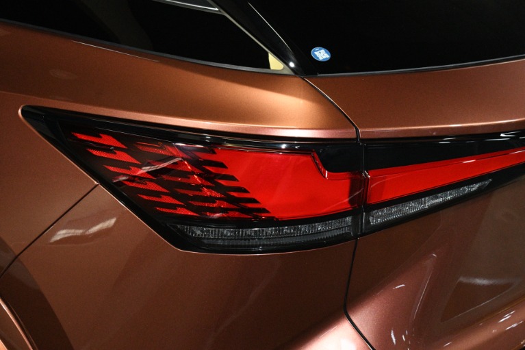2025 Lexus RX 350 - Photo 160