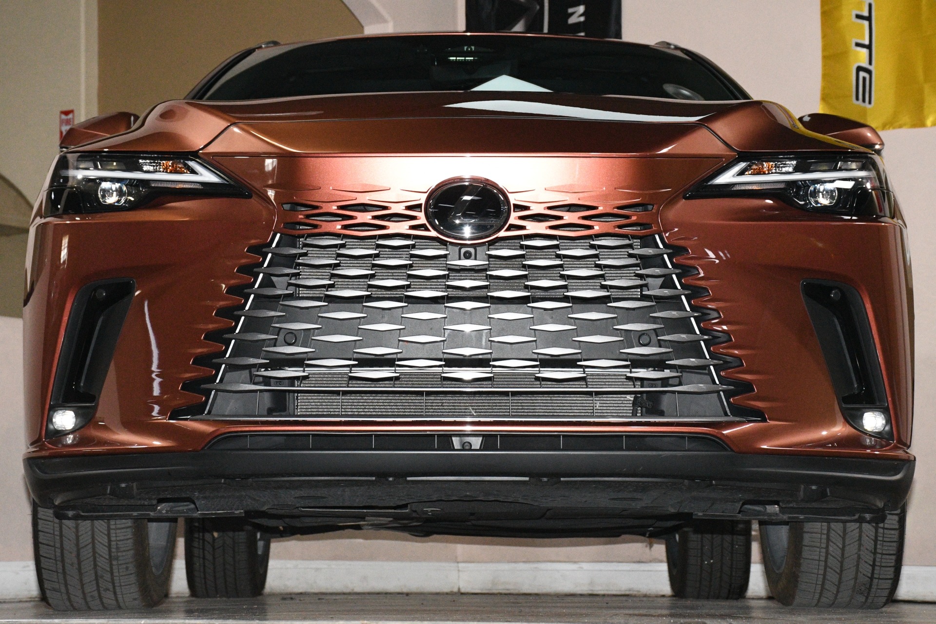 2025 Lexus RX 350 - Photo 81