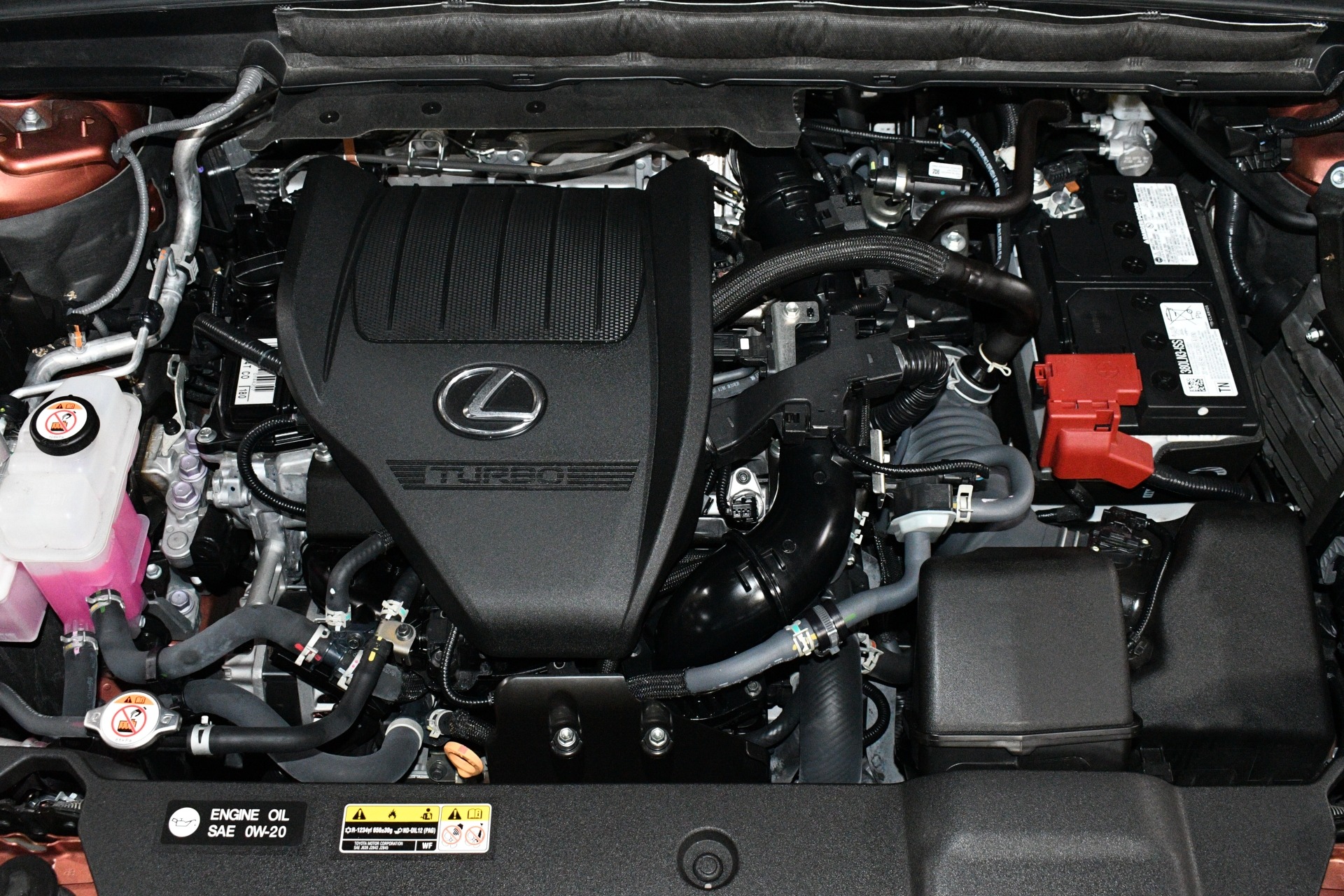 2025 Lexus RX 350 - Photo 93