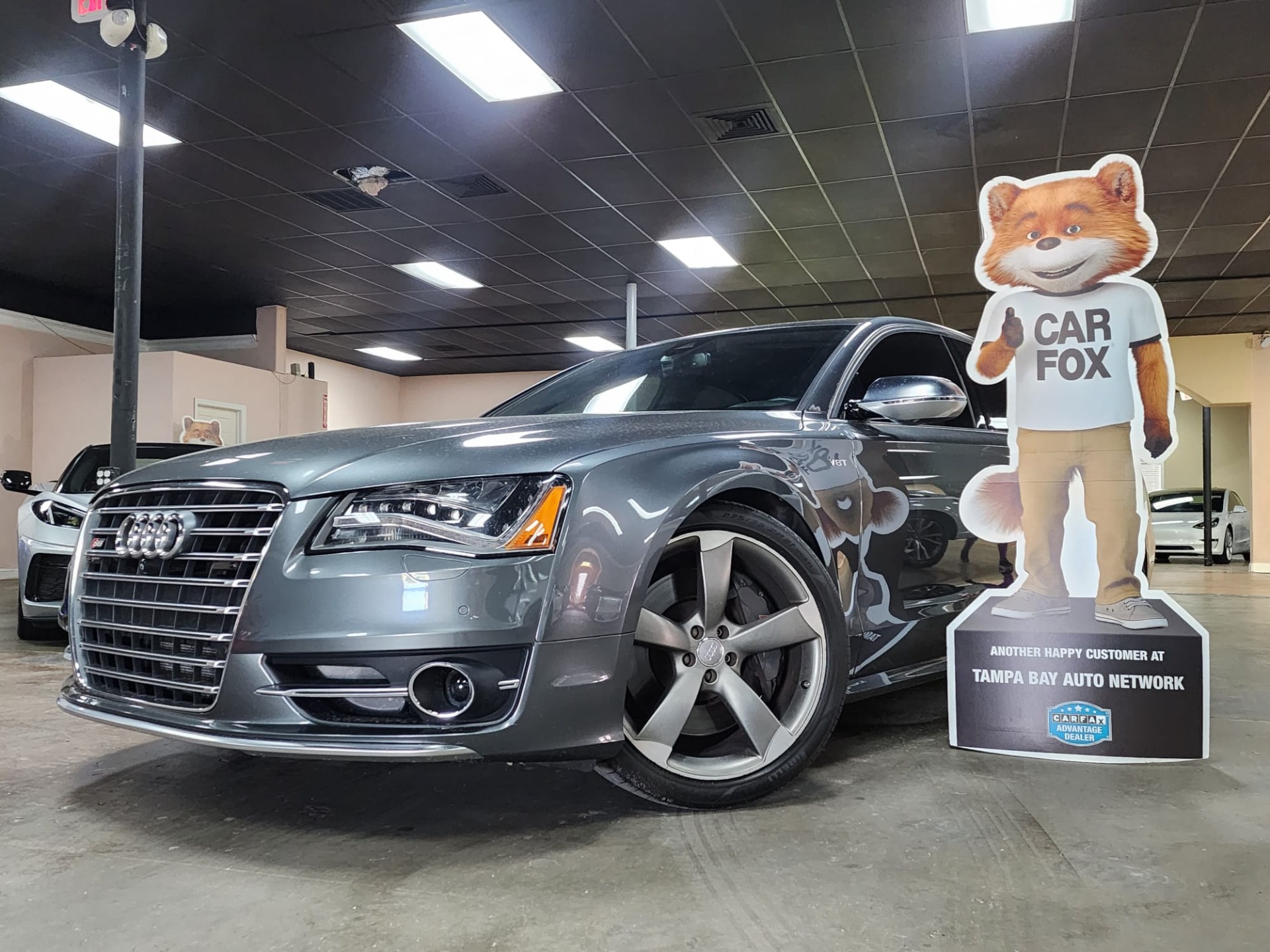 Used 2014 Audi S8 4.0T quattro For Sale (Sold) Tampa Bay Auto Network