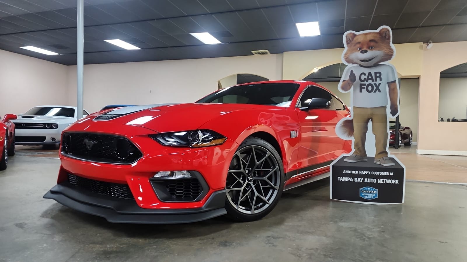 Used 2021 Ford Mustang Mach 1 Premium For Sale (Sold) | Tampa Bay Auto