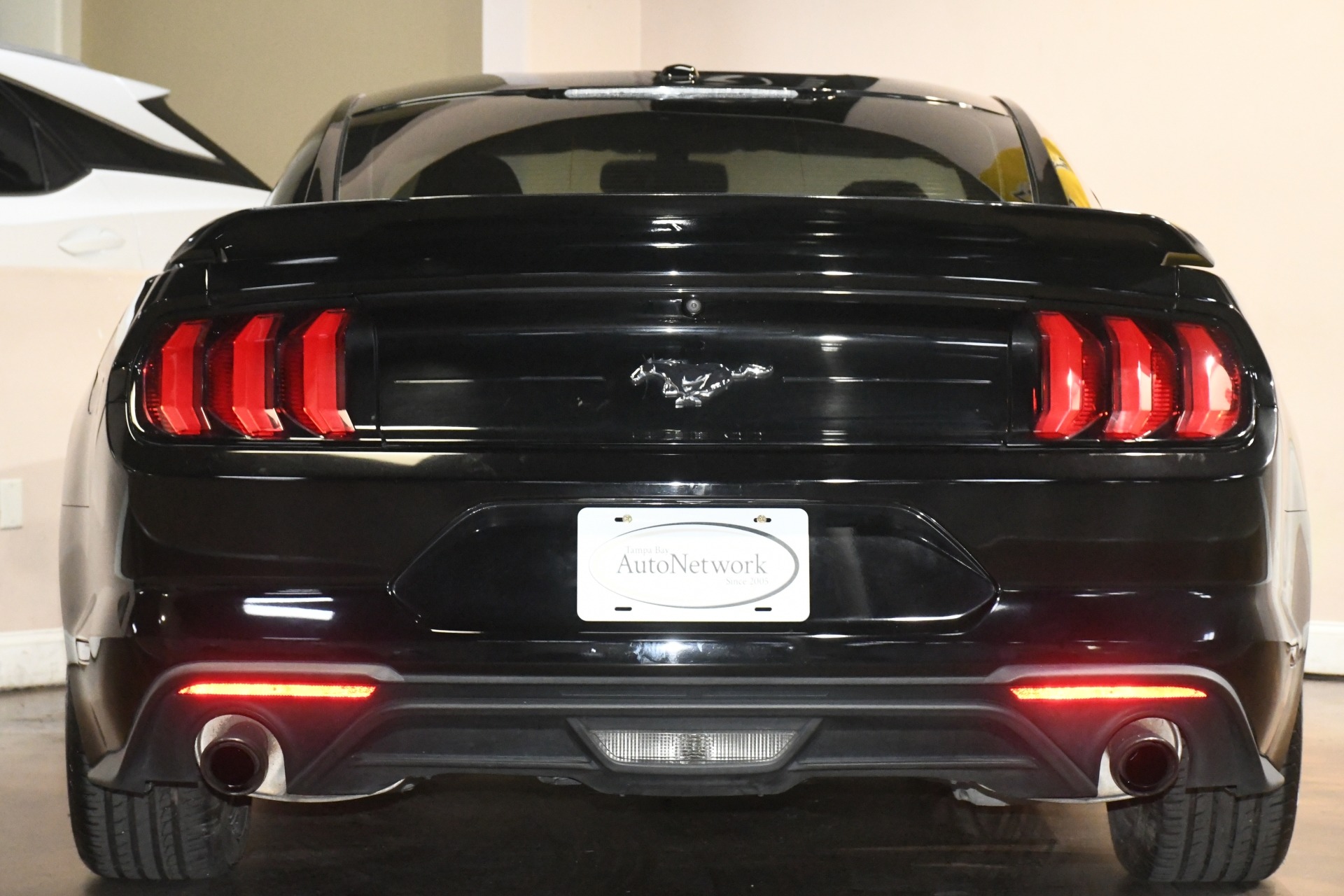 2019 Ford Mustang EcoBoost photo 2