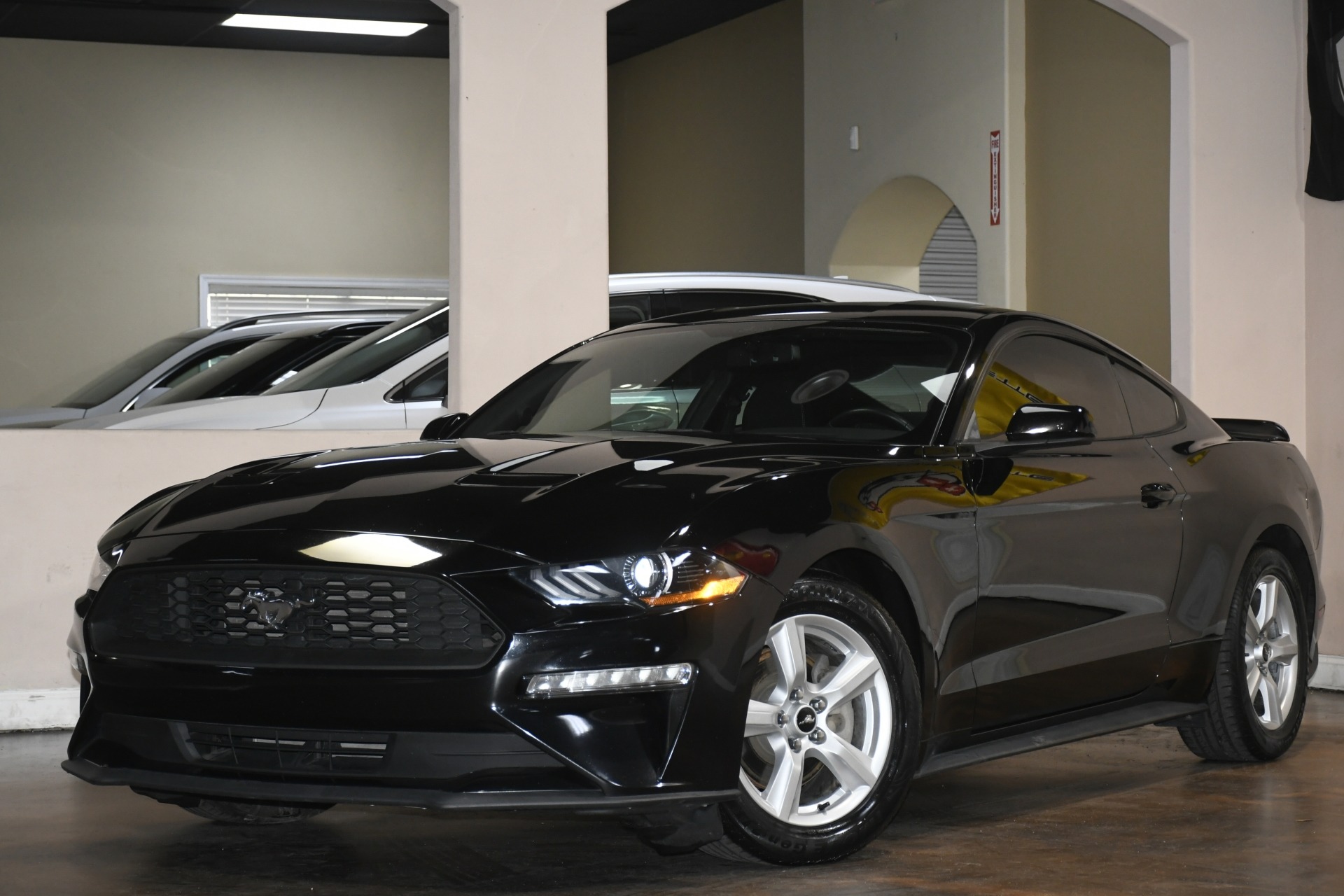 2019 Ford Mustang EcoBoost photo 4