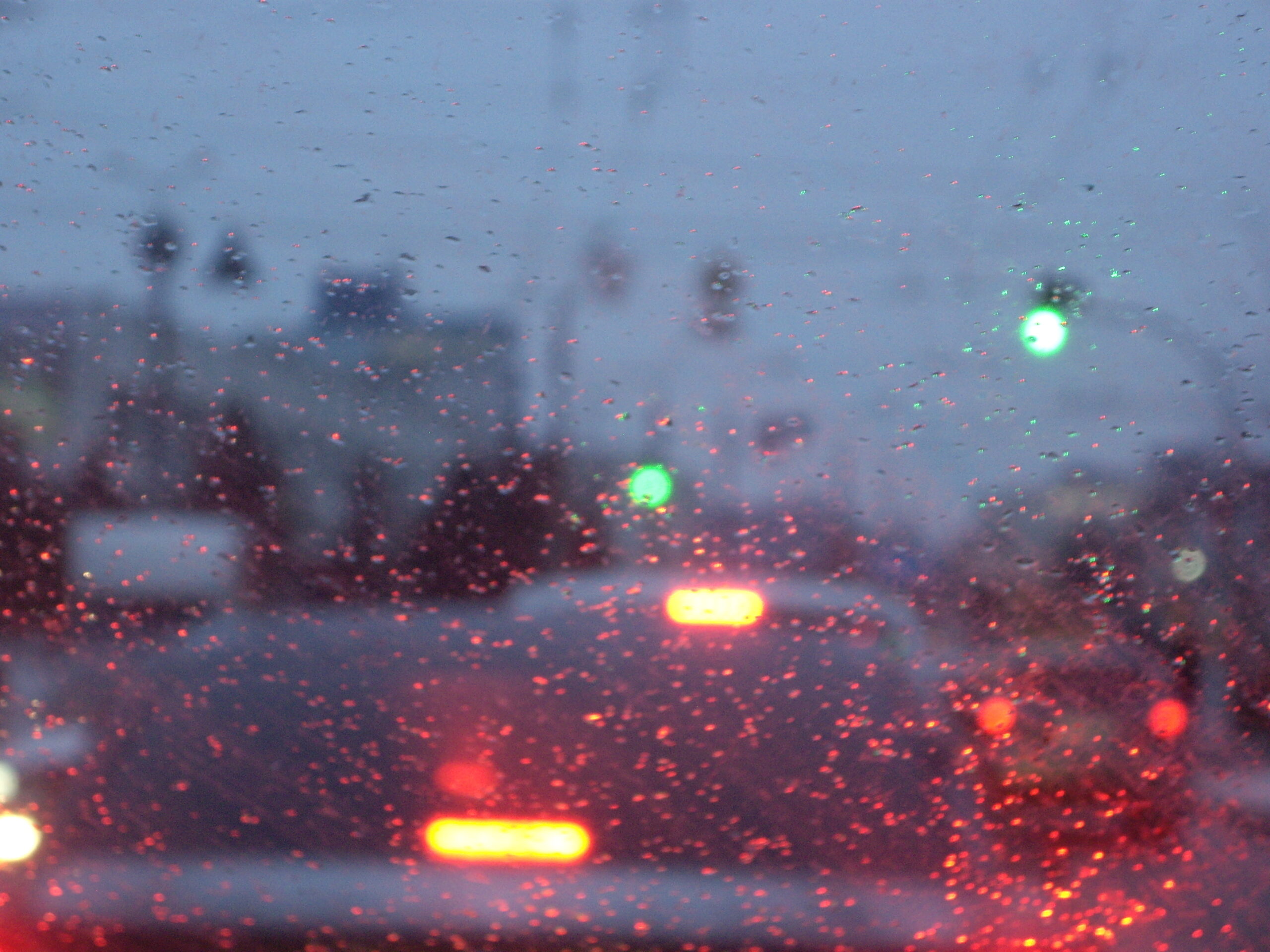 Florida Thunderstorms